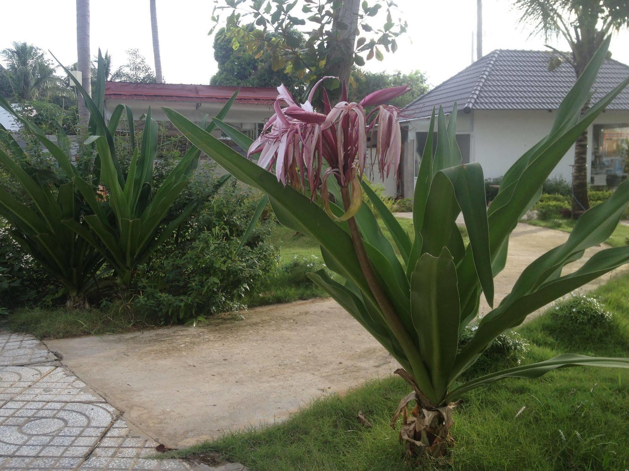 Rum Resort Phu Quoc Exterior foto